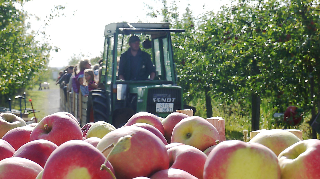 Öffentliche Apfelexpressfahrt mit Hofführung