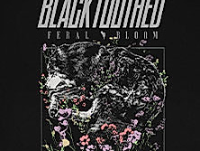 Blacktoothed - Feral Bloom