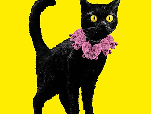 Plakatmotiv "KATZEN!"