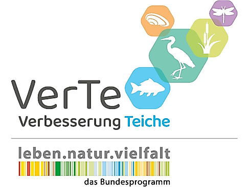 VerTe - Verbesserung Teiche