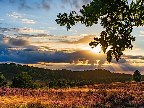 Naturpark-Erlebniswochen: Dem Sonnenuntergang entgegen – Abendwanderung zum Suhorn