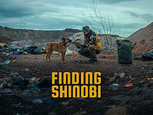 Finding-Shinobi1