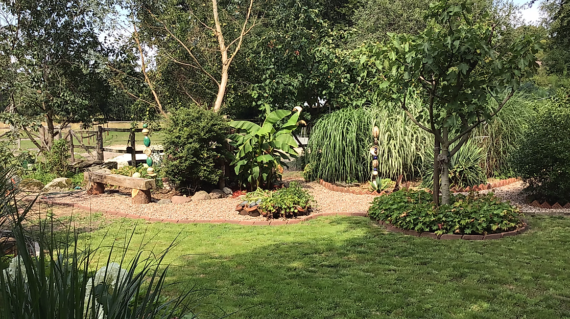 Gartenöffnung Exotischer Natur-Garten