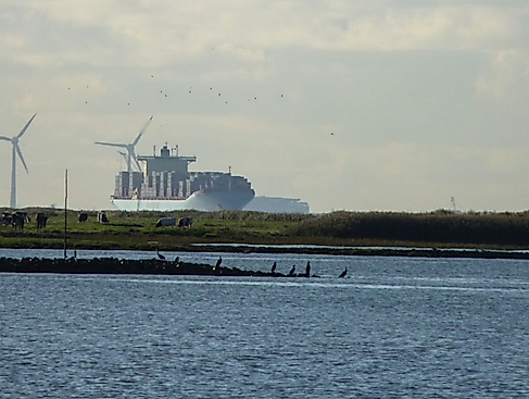Mit dem Börteboot zum Osteriff