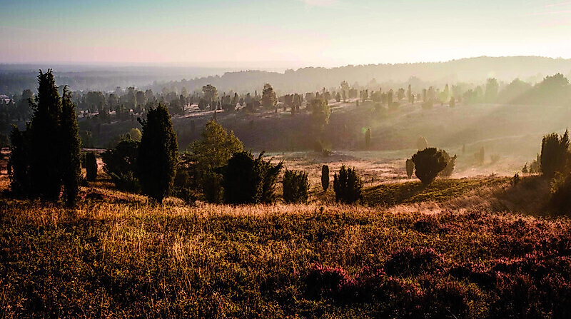 Busausflug Wilsede mit Kutschrundfahrt