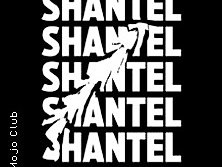 Shantel & Bucovina Club Soundsystem