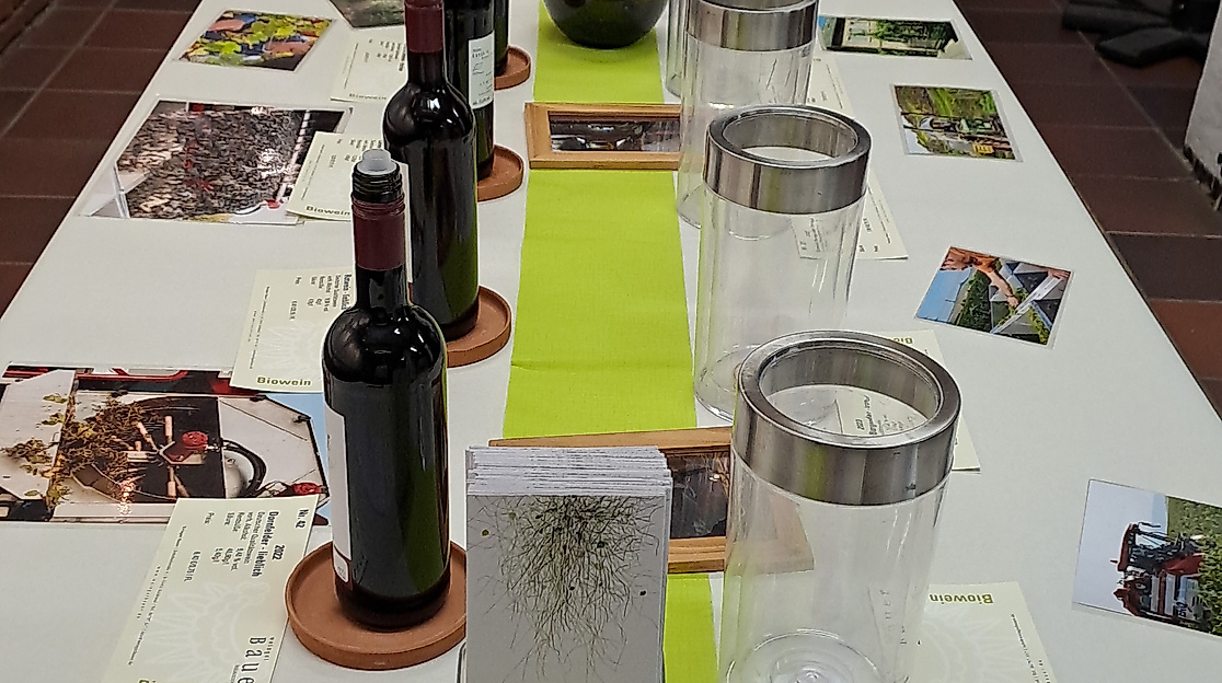 Weingut Bauer