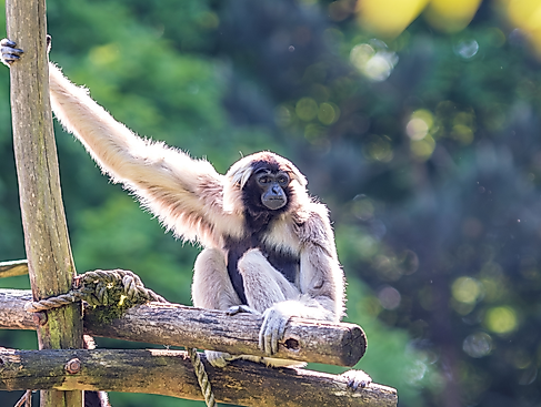 Sommersafari im Zoo Schwerin