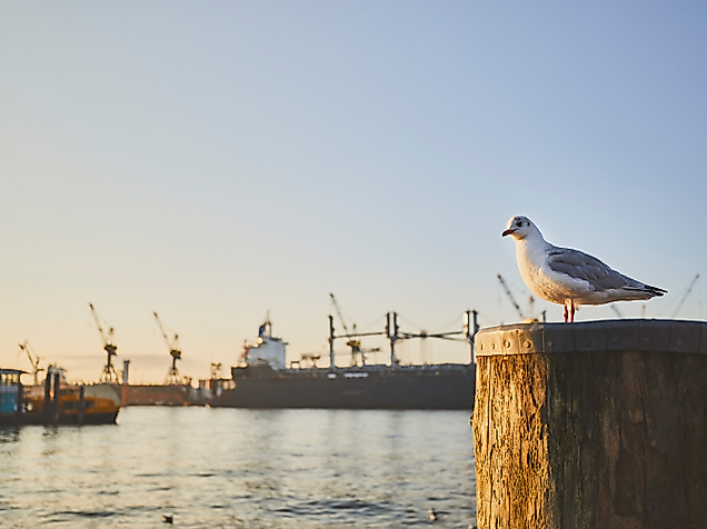 Wo ist was im Hamburger Hafen