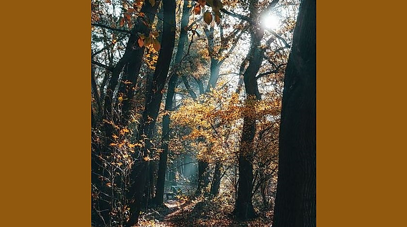 26-10-07 Wie komme ich gut durch die dunkle Jahreszeit ©pexels