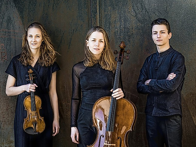 Orchester der Universität zu Lübeck / Amelio Trio