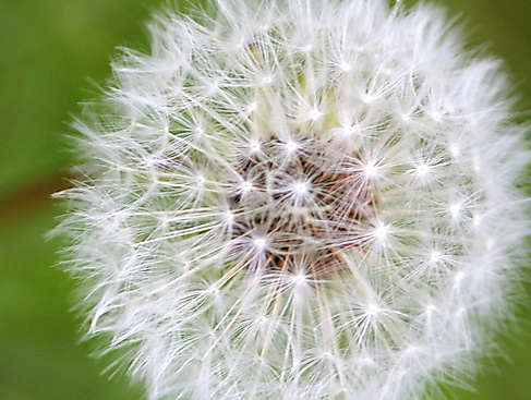 Wir laden ein zum Ostergottesdienst nach Boostedt