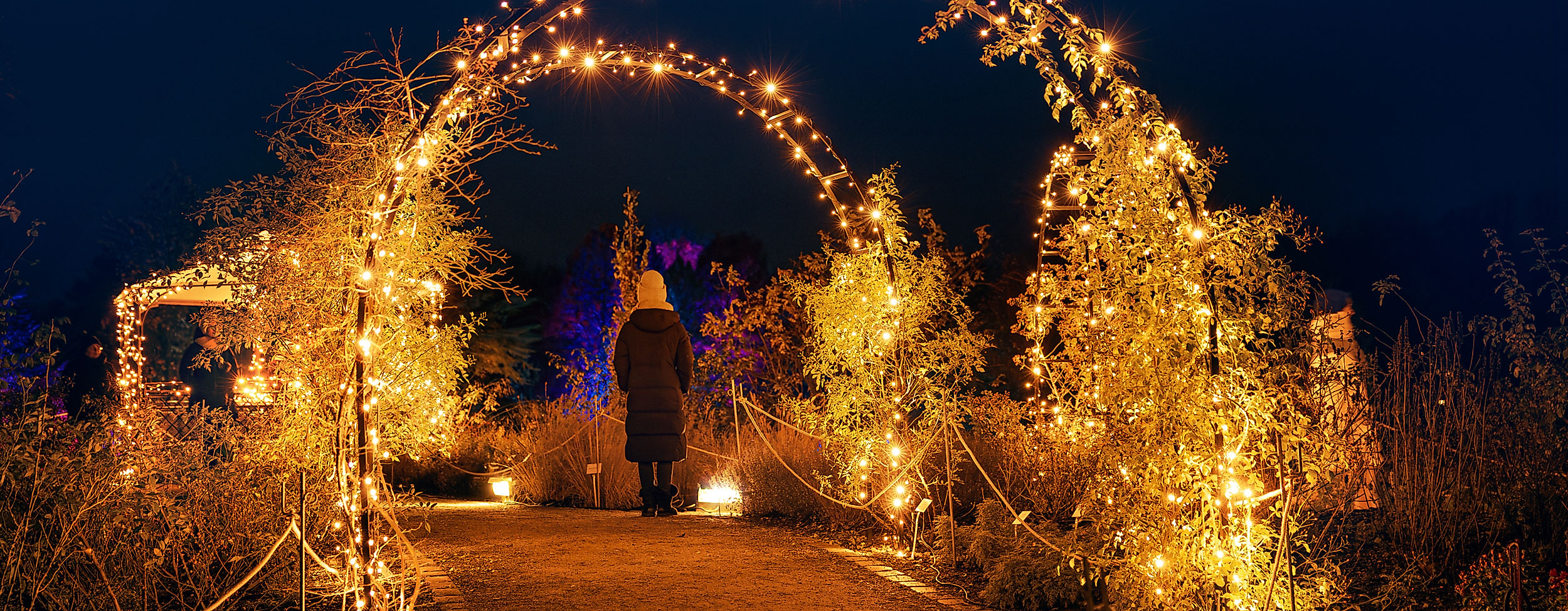 Christmas Garden