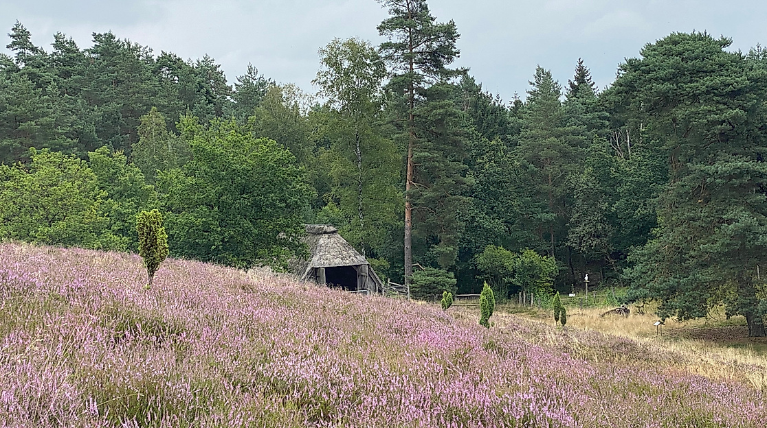 heideflaeche