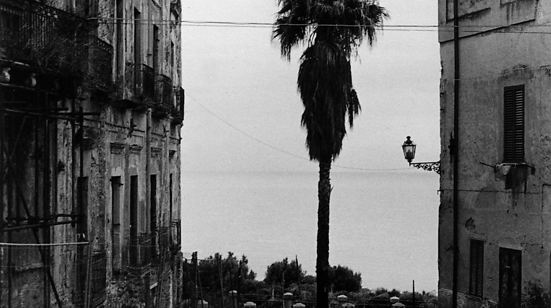 Palme, Tropea, Italien