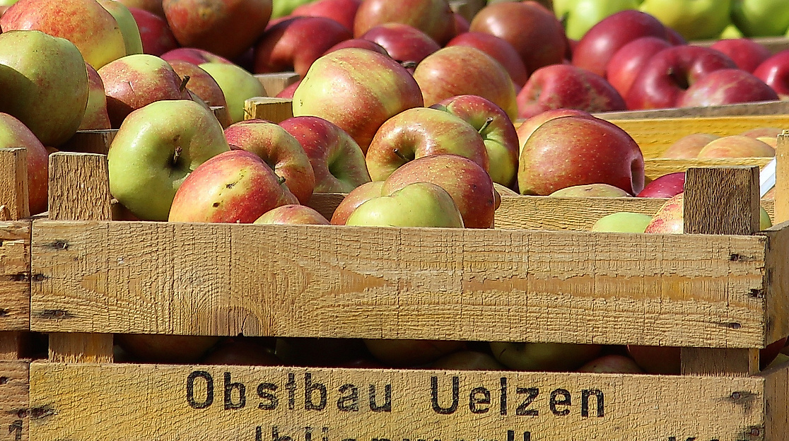 Wochenmarkt auf dem Großneumarkt