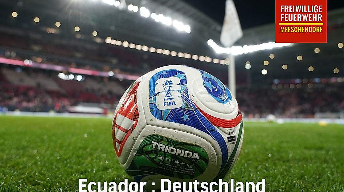 Fußball WM Deutschland Ecuador
