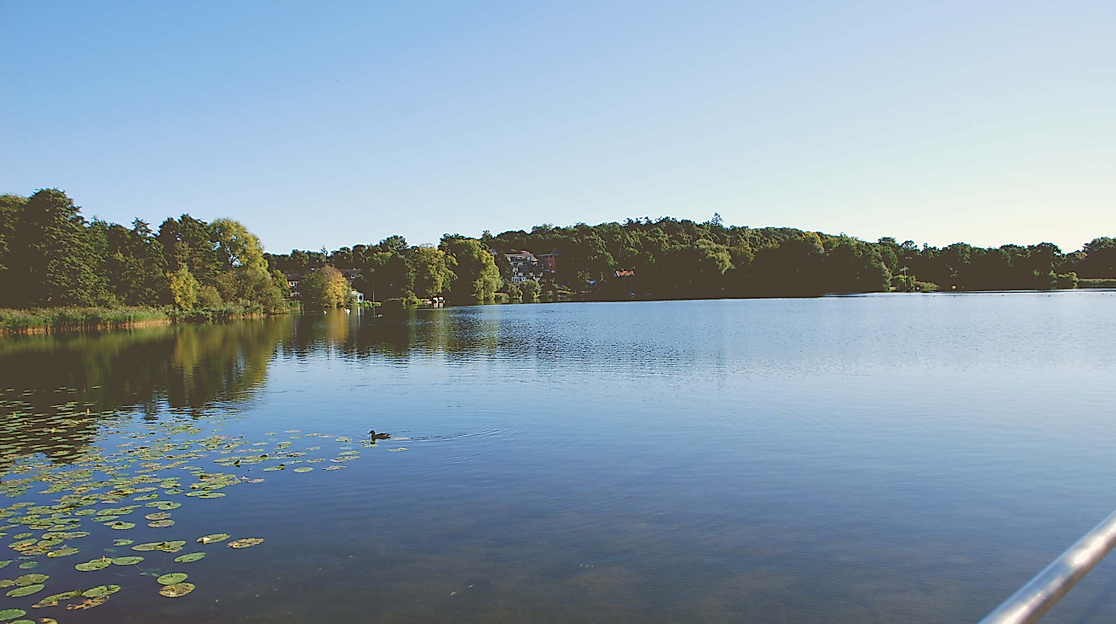 Picknick "Malente macht blau"