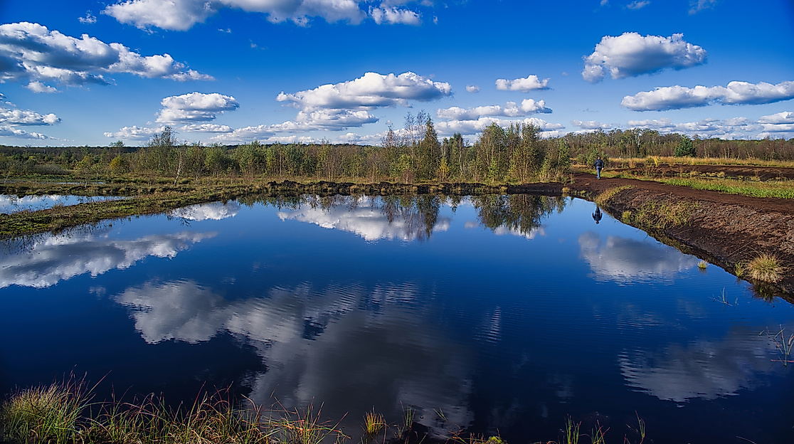 Herbstliche Moorlandschaft