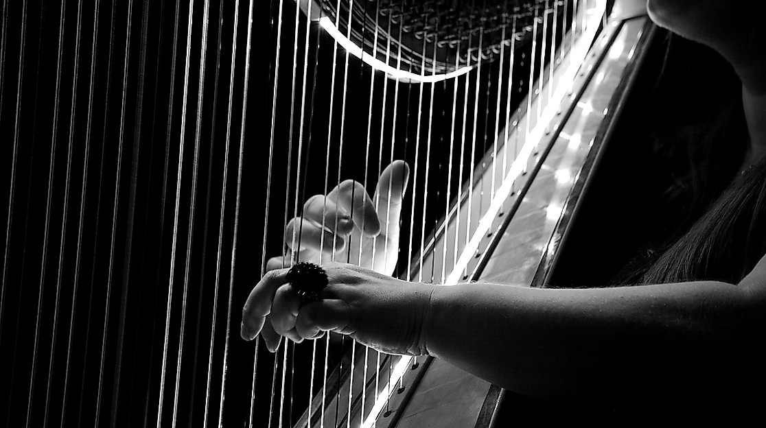 Live-Musik im Taubenhof - Sackville Street