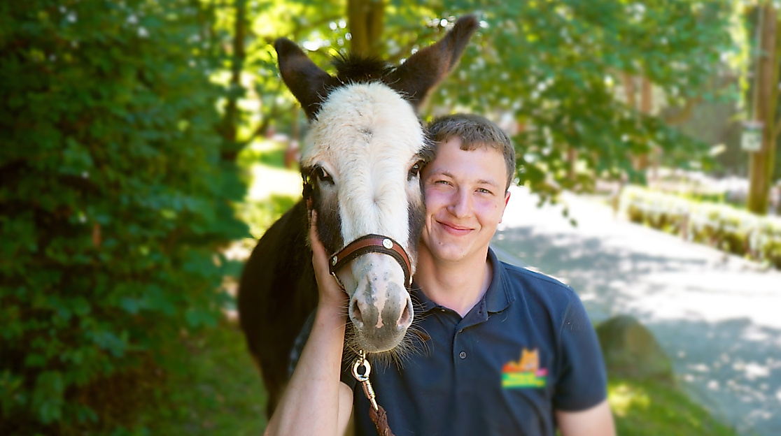 Esel Rundtour beim Sommerfest