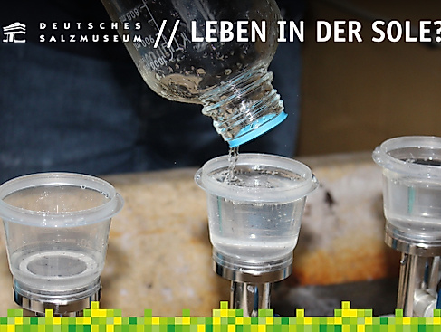 Vortrag "Leben in der Sole" im Deutschen Salzmuseum