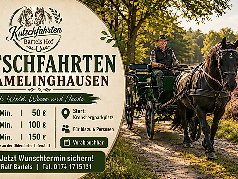 Kutschfahrten durch Wald, Wiese und Heide