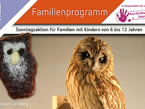 Familiensonntag im Museum Lüneburg: Eulen