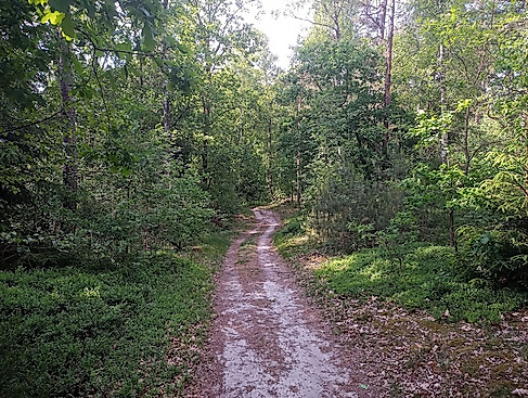 Entdeckungen im Stadtwald (nördlichen Teil)