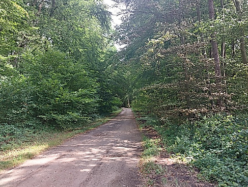 Gemütliche Fahrradtour am Sonntagnachmittag