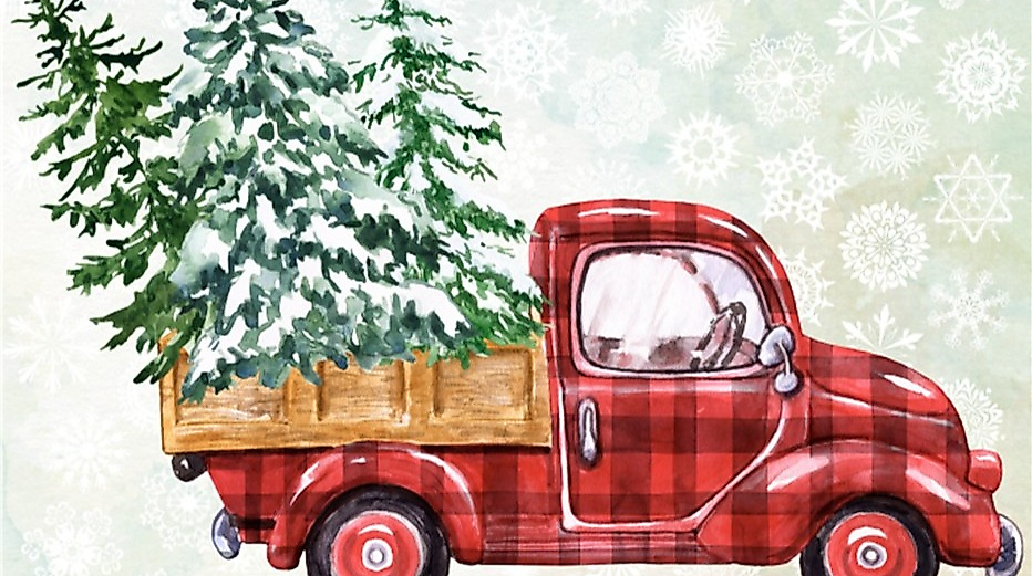 25-12-12 Ahrensburger Tannenzauber @gemeinfrei