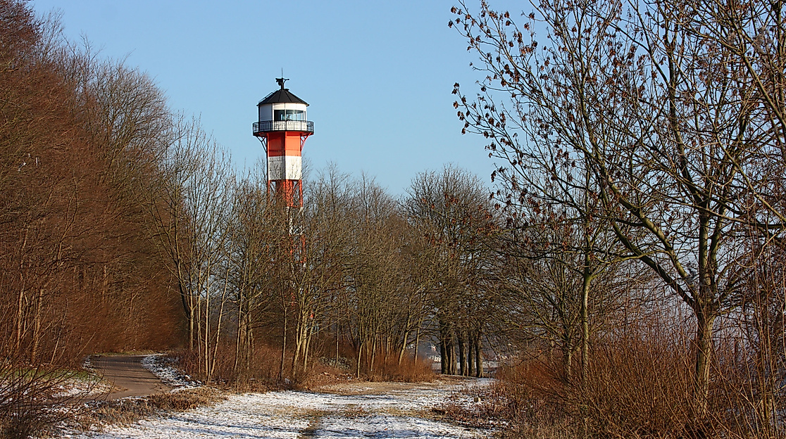 Wittenbergener Heide