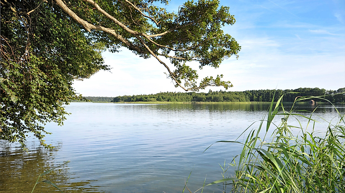 World Ranger Day: Fahrradtour mit dem BRA Schaalsee