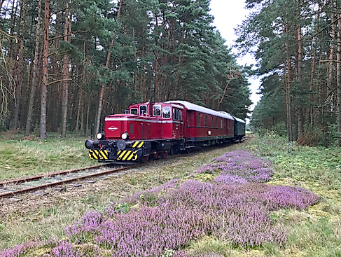 Mit der Bleckeder Kleinbahn an die Elbe