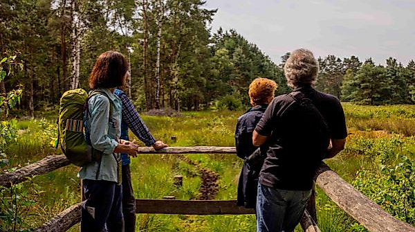Wanderworkshop im Ahlenmoor