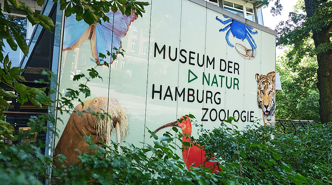 zoologie_-benjamin-pichelmann-hht-poi-2500x1500