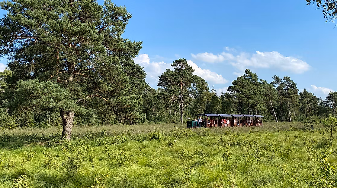Moorbahnfahrten in den niedersächsischen Schulferien