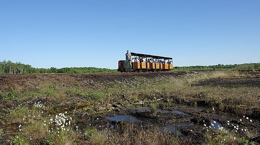 Torfbahn im Moor