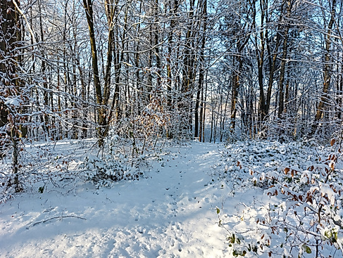 Märchenspaziergang mit der Schneekönigin