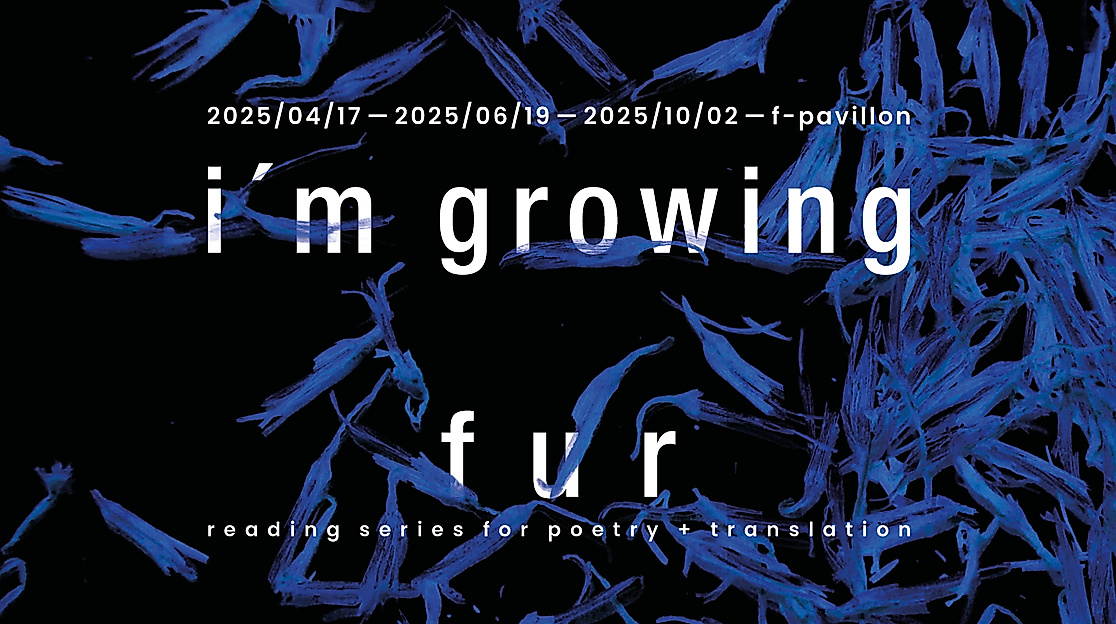IGF2025_PLAKAT-Qfinal_RGB300dpi