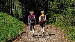 26-12-07 Nordic Walking ©pixabay