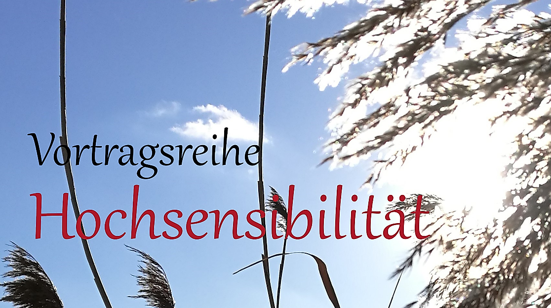 Schilf gerade - nur Himmel - quadrat links 03