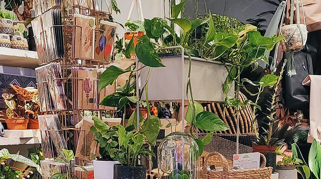 image00003-c-casou-greenery