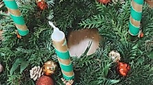 Adventskranzbinden inkl. Kerzen und Deko