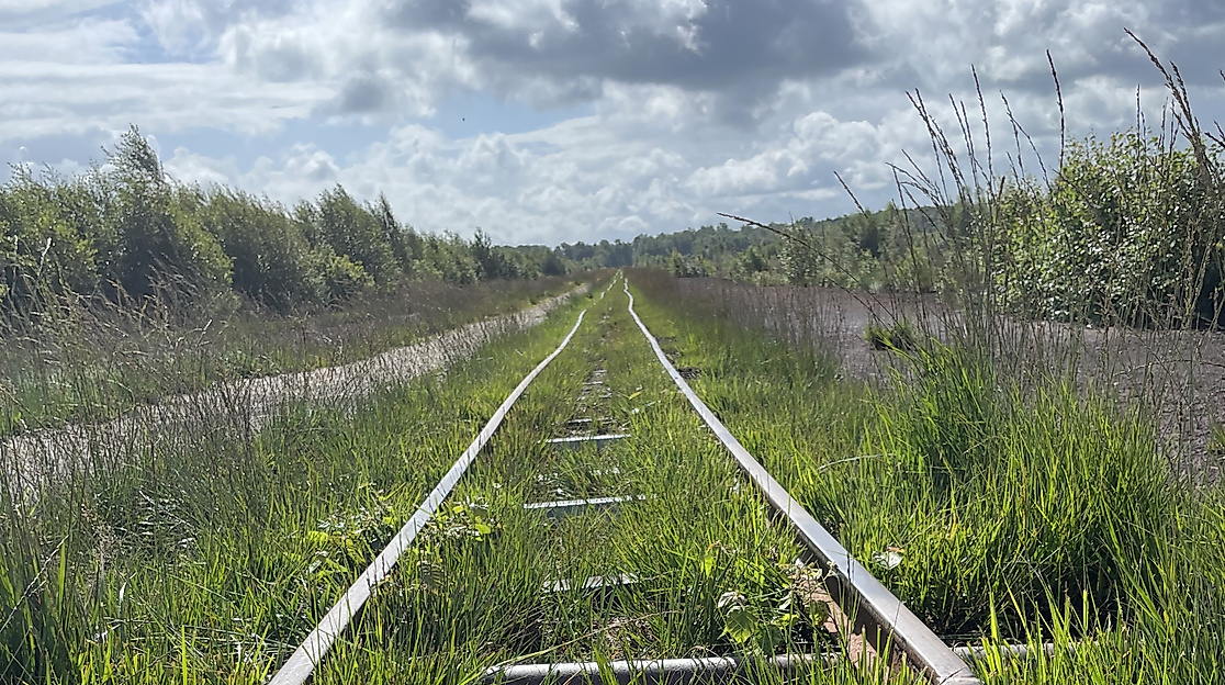Schienen Himmelmoor