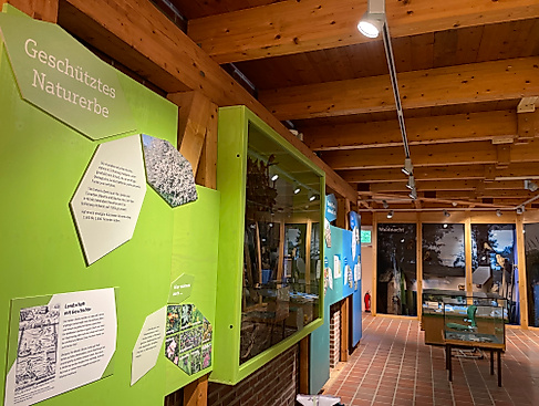 Museumsnacht