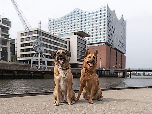 c387d02f-33bd-4fd0-96ec-581eee18e32a