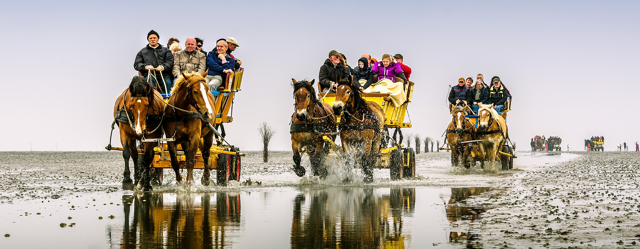 20130520-2013-05-27-ndl-418_top_sm