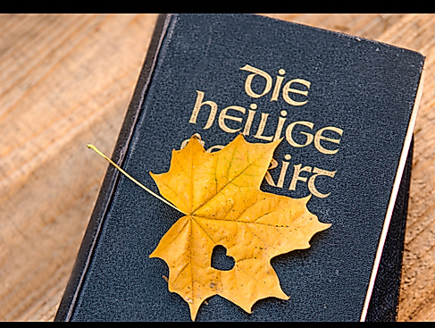 Gottesdienst am 9. Sonntag nach Trinitatis
