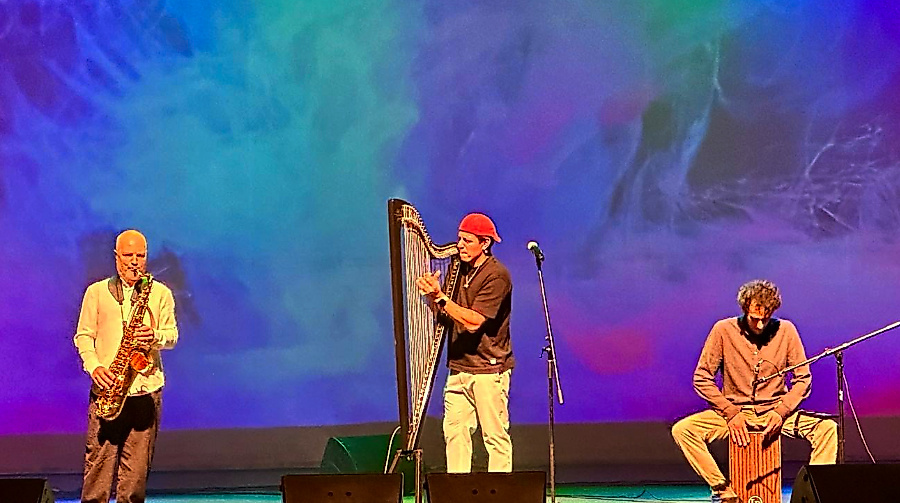 saxyarpa in Konzert